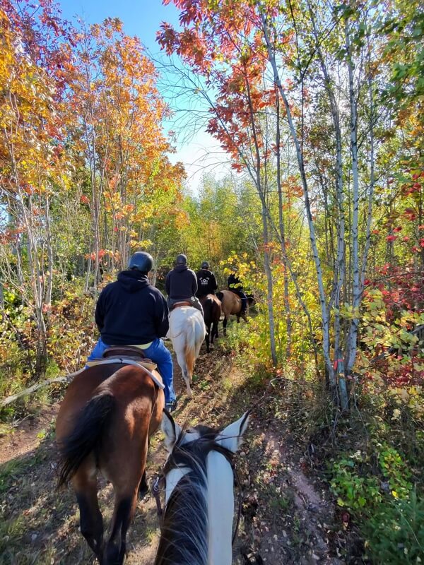 Horseback riders traveling through colorful autumn forest at Evangeline Trail Rides in Nova Scotia
